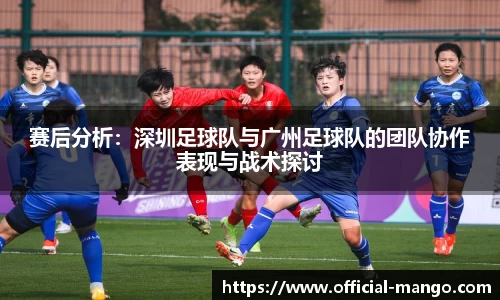 赛后分析：深圳足球队与广州足球队的团队协作表现与战术探讨