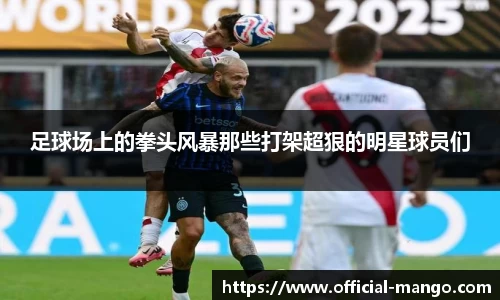 足球场上的拳头风暴那些打架超狠的明星球员们